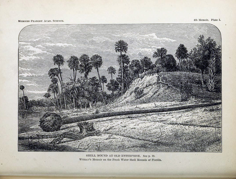 19th century engraving of ancient mound in St. John's watershed