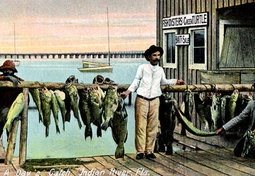 A Day's Catch, Indian River, Florida.
