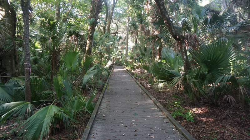 Trail into the Enchanted Forest Sanctuary