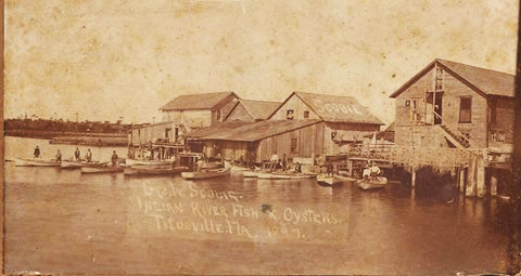 An 1887 view of the fishermen's buildings along city pier, also known as "Mullet Row." The Scobie warehouse is at the center.