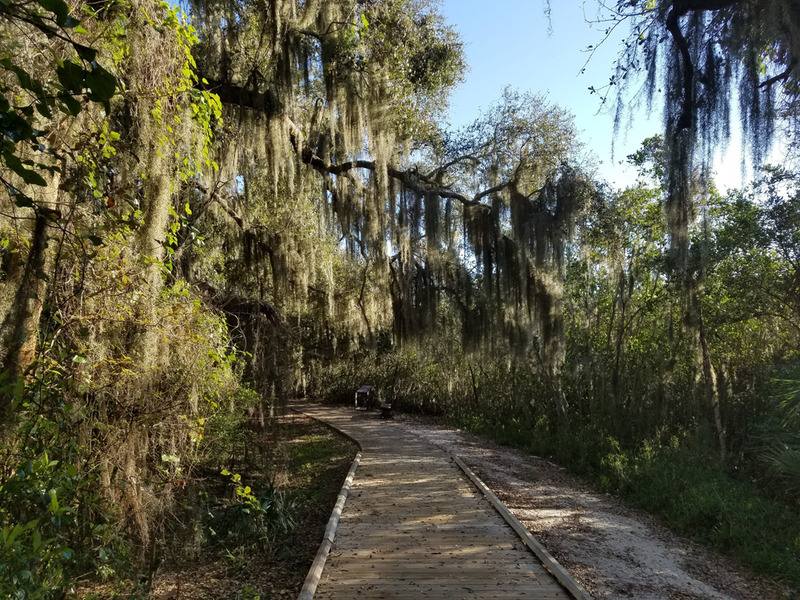 Trail to the west of Snyder's Mound